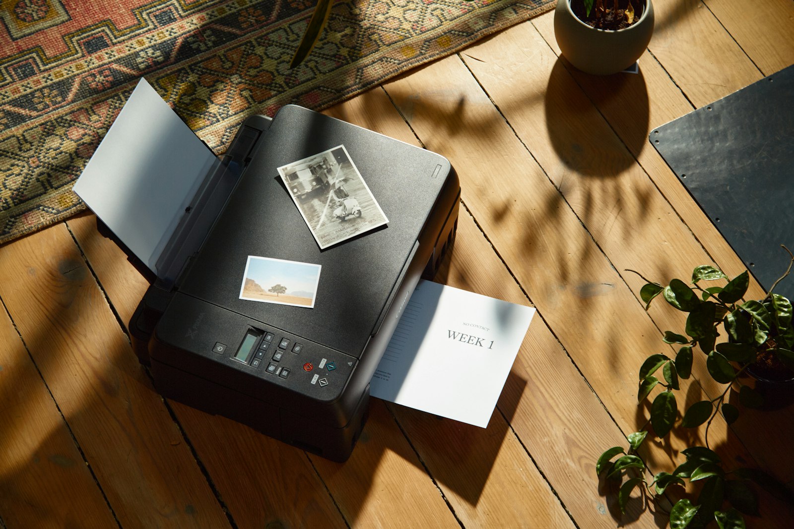 A printer with printed photos on it, on a sunlit wooden floor